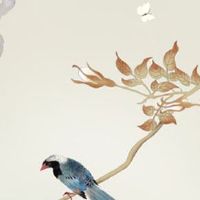 小暑节气吃什么传统食物 节气必吃10种蔬菜你知道吗