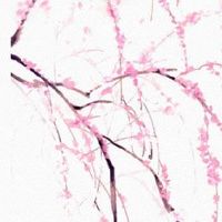 2022年11月生肖猴装修动土好日子 动土黄道吉日