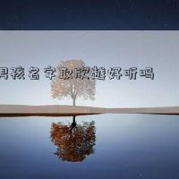 男孩的名字拿Xin吗?