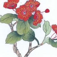 男人一点耳垂都没有好不好 事业工作上积极进取