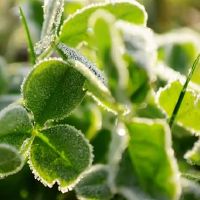 辞职最纠结的星座