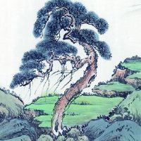 2022年适合汽车行业的名字 高档大气汽车企业起名