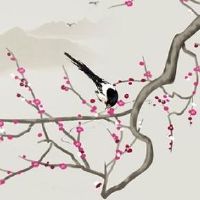 属相第一运程:2022年11月28日特吉生肖运势解说