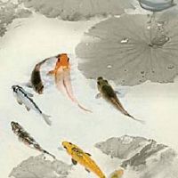 手机尾号是9好不好 最新五行旺运的手机号码