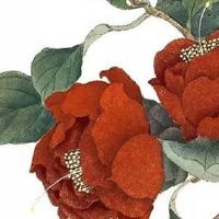 结婚择吉 2022年12月生肖马结婚好日子