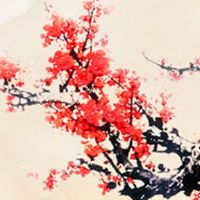 2022年11月27日出生男孩命运好吗 充满活力 生活甜蜜