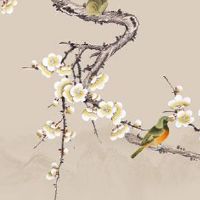 客厅玄关隔断柜摆放装饰品 宜在家中种植的绿植