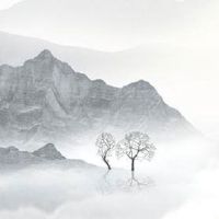 什么样的偏印格好命 事业优秀发展蒸蒸日上