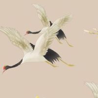 车牌尾号96为啥不好 重叠豹子号码推荐