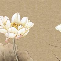 地支三合火局必离婚 八字合婚收获幸福美满