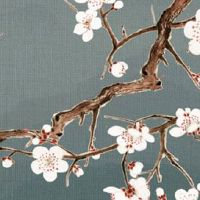 恋爱最长久的四组星座cp,带上你对象的星座看看上榜没有?