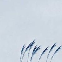 女人指纹十个斗的说法 十个簸箕的女人姻缘坎坷