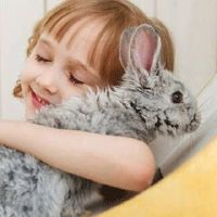 姓张的女孩取个什么名字好呢 清爽张姓女宝宝名字合集