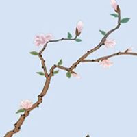 2001年属蛇和2003年属羊的合不合 会出现感情冲突吗