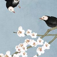 2001年属蛇正月出生是什么命 最苦出生日期盘点