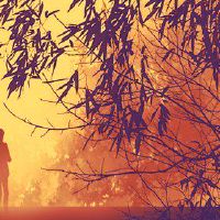 30岁以后才有桃花运的生肖女 提升运势把握机会