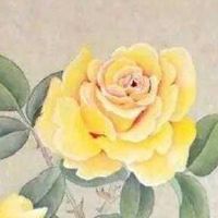 手机号码几个0好 最新版本的吉利号组全书