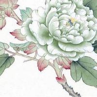 数字能量学对照表 全新大吉开运的号码组合