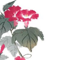 命格为偏财格的女人 待人真诚财运旺盛