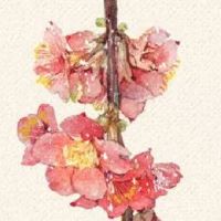 手工制作店铺名字推荐 寓意好高级店面名字