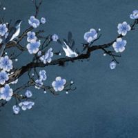 2001年属蛇男最佳婚配属相 忌讳的属相又是什么