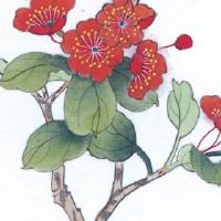 偏财格女命旺夫 偏财格女命婚姻有什么特征