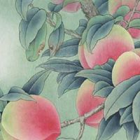 手机尾数4位相同叫什么号码 热门好记的手机尾号