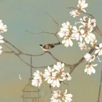 车牌号123的寓意好吗 能发财的最新车牌号码