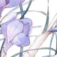 2022年最热门的车行名字大气的 高级吉利旺铺取名