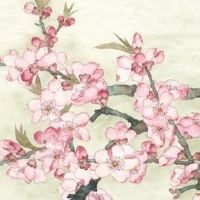 寓意好的口腔诊所名字 带来吉利的口腔诊所起名大全