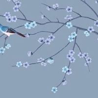 2022年12月属兔人哪几号提车最好 上等提车黄道吉日