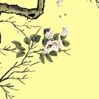 四柱全是桃花的八字 怎么看八字桃花运旺不旺