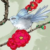 易经中吉利的手机号 数理开运添财的手机号码