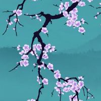 车牌号65好不好 车牌凶吉对照之吉利数字