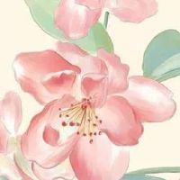 网店家具取名字大全 有内涵招财店面起名