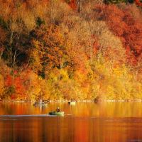 钗钏金命男和大溪水命女 金水相生家庭幸福