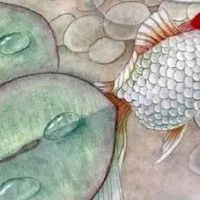 属鼠人永久吉利的数字 一生大吉的热门数字推荐