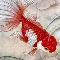 属牛手机尾号吉祥数字 吉利开运的旺生肖牛号码