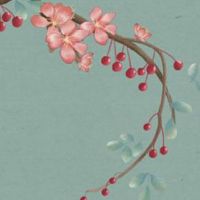 2023年1月3日出生的女宝宝命好吗,本日出生女孩性格如何