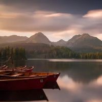 门口种什么树对风水好 桂花带来贵人运