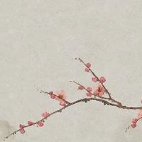 八字四柱有三柱是桃花星 桃花星在日柱桃花运旺盛