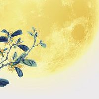 掌心有三角纹手相图片 吉祥如意事业有一番成就