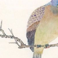 八字看未来老公特征 婚姻宫遇桃花丈夫气质佳