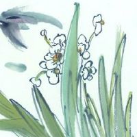 怎么看自己八字硬不硬 命硬基本条件有哪些