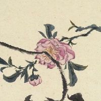 配偶极富的女命紫微斗数 丈夫从业相关信息