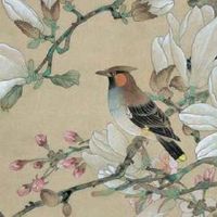 数字磁场好的手机号码 天医磁场带财运的手机尾号