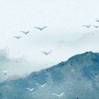 剑锋金生肖猴桃花方 正西方感情遇喜