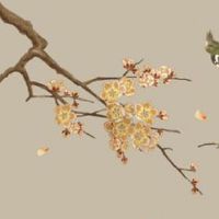 2023年1月20日出生男宝宝命好不好,五行是否有缺失