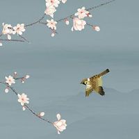 1966年属马的是什么命 幼年微带小疾但晚景暮年兴隆