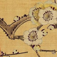 93属鸡男的注定婚姻 结婚比同龄人早